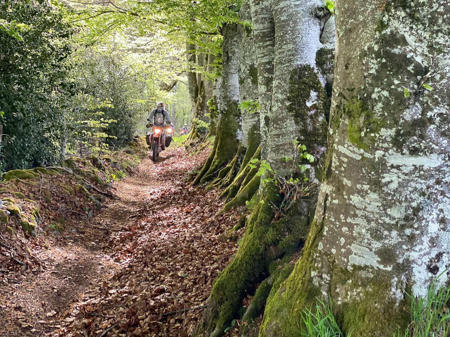 Raid d'Ombrie — piste de montagne